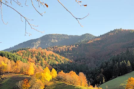 Herbststimmung im Münstertal