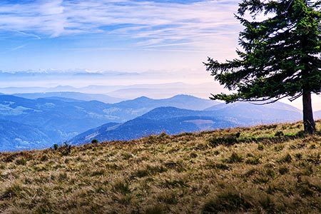 Wandern auf dem Belchen mit Alpenpanorama