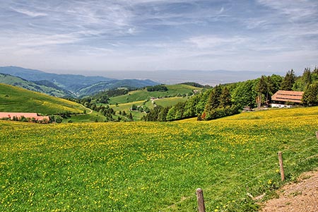 Panoramablick vom Schauinsland aus