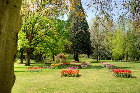 Kurpark Bad Krozingen